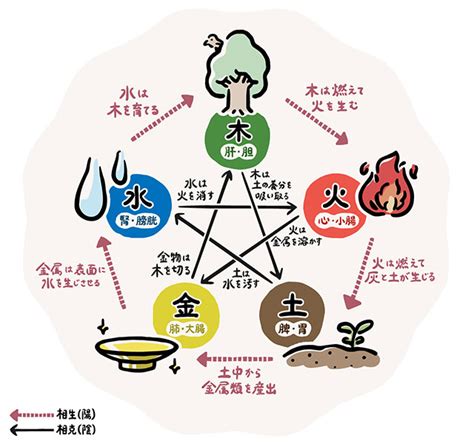 五行色体表 pdf|資料ダウンロード